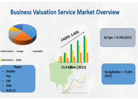 Business Valuation Service Market